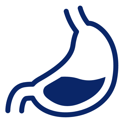 Gastro Icon