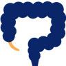 Appendix Surgery