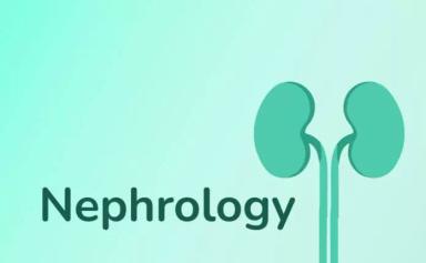 nephrologist